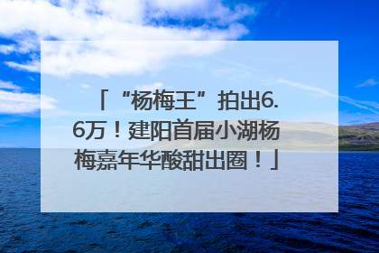 “杨梅王”拍出6.6万！建阳首届小湖杨梅嘉年华酸甜出圈！